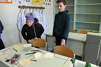 Das Scholl-Gymnasium am Samstag Bild: Das Scholl-Gymnasium am Samstag