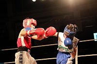 Boxnacht in Nordhausen Bild: Boxnacht in Nordhausen