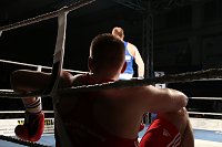 Boxnacht in Nordhausen Bild: Boxnacht in Nordhausen