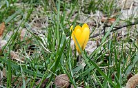 Spuren des Frühlings Bild: Spuren des Frühlings