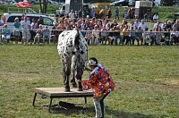 Kampf der Giganten Sundhausen Bild: Kampf der Giganten Sundhausen