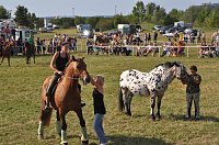 Kampf der Giganten Sundhausen Bild: Kampf der Giganten Sundhausen
