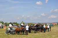 Kampf der Giganten Sundhausen Bild: Kampf der Giganten Sundhausen
