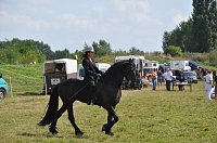 Kampf der Giganten Sundhausen Bild: Kampf der Giganten Sundhausen