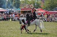 Kampf der Giganten Sundhausen Bild: Kampf der Giganten Sundhausen