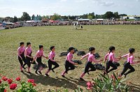 Kampf der Giganten Sundhausen Bild: Kampf der Giganten Sundhausen