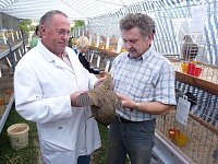 Bild: Rassengefl&uuml;gelausstellung in Bad Frankenhausen