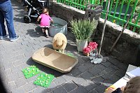 Bild: "Gro&szlig;e Schweinerei" vor der Kindervilla