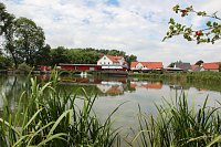 Tipp für Fisch-Fans in Bad Frankenhausen Bild: Tipp für Fisch-Fans in Bad Frankenhausen