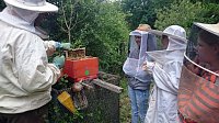 Unser Besuch beim Imker Bild: Unser Besuch beim Imker