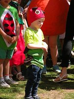 Die kleine Raupe Nimmersatt... Bild: Die kleine Raupe Nimmersatt...