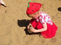 Die kleine Raupe Nimmersatt... Bild: Die kleine Raupe Nimmersatt...