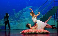 Bild: "Sternstunden" des Balletts
