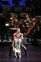Bild: "Sternstunden" des Balletts