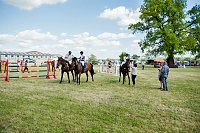 Reitturnier des Sportverein " Diamantene Aue" Ringleben - 2017 Bild: Reitturnier des Sportverein " Diamantene Aue" Ringleben - 2017