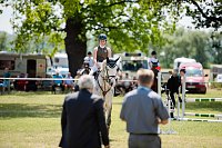 Reitturnier des Sportverein " Diamantene Aue" Ringleben - 2017 Bild: Reitturnier des Sportverein " Diamantene Aue" Ringleben - 2017