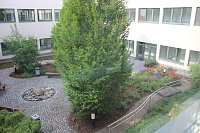 Bild: Sommerfest im DRK Manniske Krankenhaus