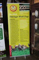 Ministerpräsident wird Pate von Tieren Bild: Ministerpräsident wird Pate von Tieren