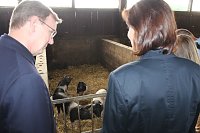 Ministerpräsident wird Pate von Tieren Bild: Ministerpräsident wird Pate von Tieren