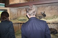 Ministerpräsident wird Pate von Tieren Bild: Ministerpräsident wird Pate von Tieren