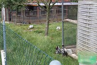 Ministerpräsident wird Pate von Tieren Bild: Ministerpräsident wird Pate von Tieren