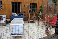 Jubiläen bei den Tierschützern Bild: Jubiläen bei den Tierschützern