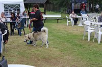 Jubiläen bei den Tierschützern Bild: Jubiläen bei den Tierschützern