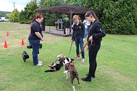 Jubiläen bei den Tierschützern Bild: Jubiläen bei den Tierschützern