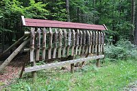 Waldbegehung am Possen im unterschiedlicher Resonanz Bild: Waldbegehung am Possen im unterschiedlicher Resonanz