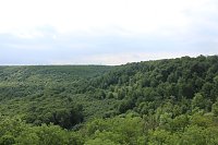 Waldbegehung am Possen im unterschiedlicher Resonanz Bild: Waldbegehung am Possen im unterschiedlicher Resonanz