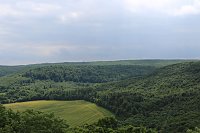Waldbegehung am Possen im unterschiedlicher Resonanz Bild: Waldbegehung am Possen im unterschiedlicher Resonanz