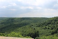 Waldbegehung am Possen im unterschiedlicher Resonanz Bild: Waldbegehung am Possen im unterschiedlicher Resonanz