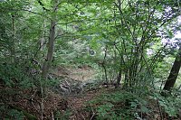 Waldbegehung am Possen mit unterschiedlicher Resonanz Bild: Waldbegehung am Possen mit unterschiedlicher Resonanz