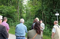 Waldbegehung am Possen mit unterschiedlicher Resonanz Bild: Waldbegehung am Possen mit unterschiedlicher Resonanz