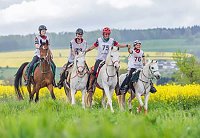 Bild: Reiten f&uuml;r den guten Zweck