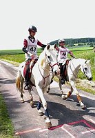 Bild: Reiten f&uuml;r den guten Zweck