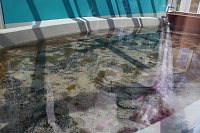 Solewasser-Vitalbad besucht - Urlaub pur! Bild: Solewasser-Vitalbad besucht - Urlaub pur!