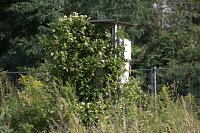 An der Piste und in der Stadt Bild: An der Piste und in der Stadt
