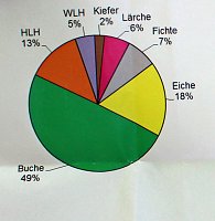 Waldbegehung mit Siegesmund und Kieling Bild: Waldbegehung mit Siegesmund und Kieling
