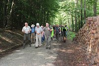 Waldbegehung mit Siegesmund und Kieling Bild: Waldbegehung mit Siegesmund und Kieling