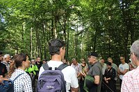 Waldbegehung mit Siegesmund und Kieling Bild: Waldbegehung mit Siegesmund und Kieling