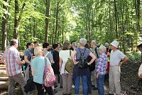 Waldbegehung mit Siegesmund und Kieling Bild: Waldbegehung mit Siegesmund und Kieling