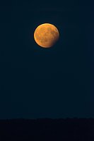 Partielle Mondfinsternis am Montag Bild: Partielle Mondfinsternis am Montag