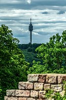 Mittelalterliches Treiben am Kyffhäuser Bild: Mittelalterliches Treiben am Kyffhäuser