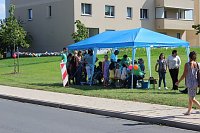Falkner sorgte für Auflauf Bild: Falkner sorgte für Auflauf