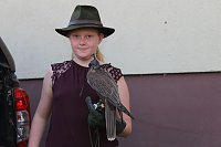 Falkner sorgte für Auflauf Bild: Falkner sorgte für Auflauf