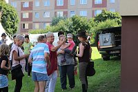 Falkner sorgte für Auflauf Bild: Falkner sorgte für Auflauf