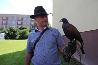 Falkner sorgte für Auflauf Bild: Falkner sorgte für Auflauf