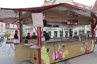 Weinprinzessin Shantel I. gekrönt Bild: Weinprinzessin Shantel I. gekrönt