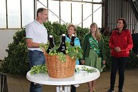 Bild: Start der Hopfenernte in Gro&szlig;enehrich
